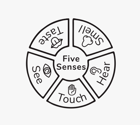 Five Senses Stamp